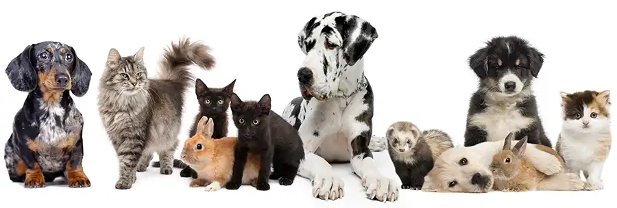 HSCC footer mobile image