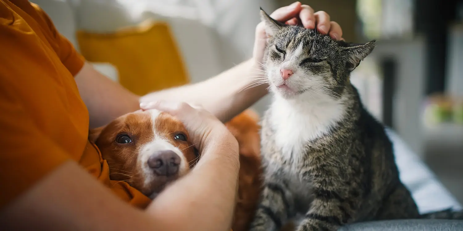 humane-society-header-image1