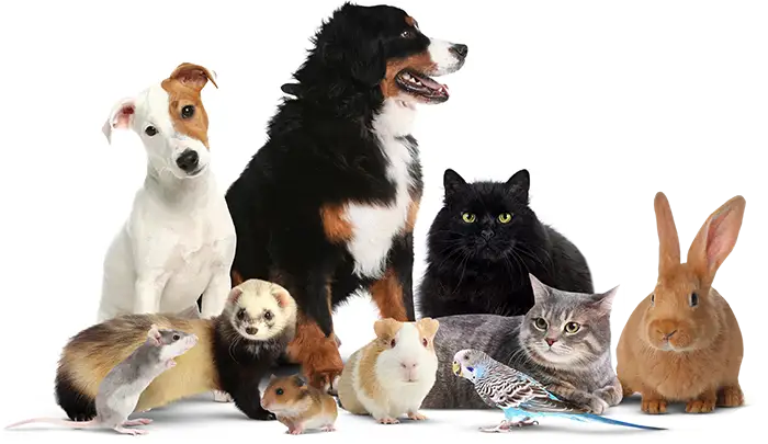 A Big Shout-Out to Tractor Supply Company in Mt. Airy!