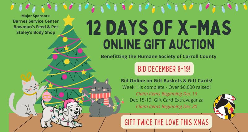 thank-you-to-our-sponsors-auction-item-donors