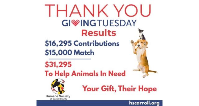 Untitled (800 x 425 px) (5)