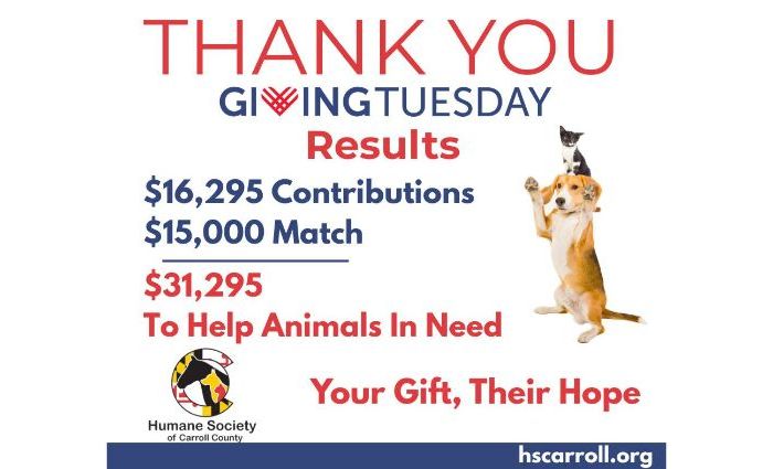 Generosity in Action: Giving Tuesday’s Lifesaving Impact