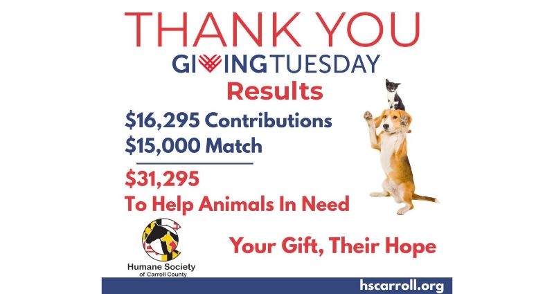 Untitled (800 x 425 px) (5)