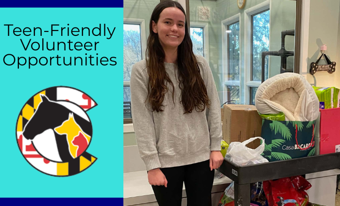 Teen-Friendly Volunteer Opportunities at HSCC