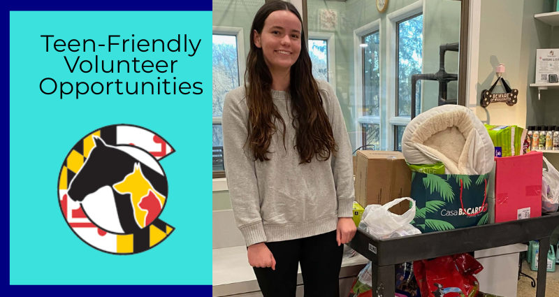 teen-friendly-volunteer-opportunities-at-hscc